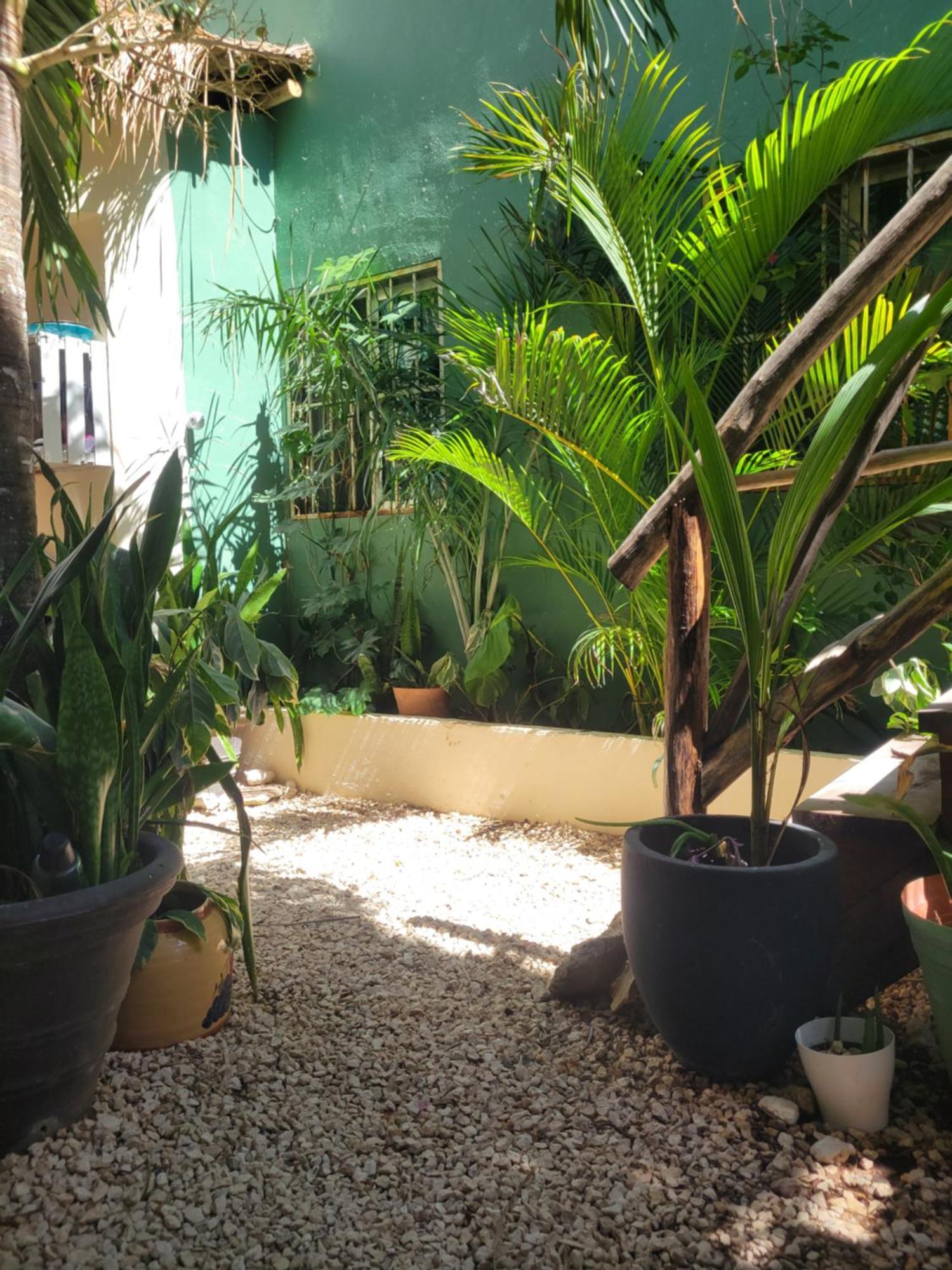 דירות The Secret Garden טולום מראה חיצוני תמונה